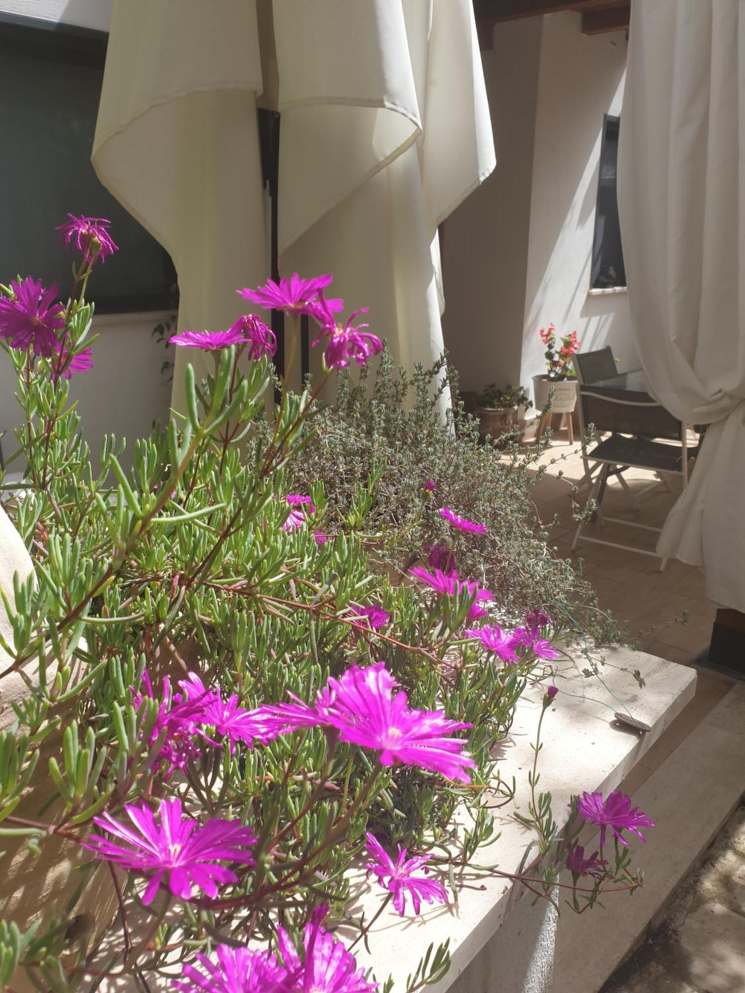 Il Giardinetto Di Dilyana Hotel Monterosi ภายนอก รูปภาพ